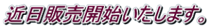 ߓ̔Jn܂B